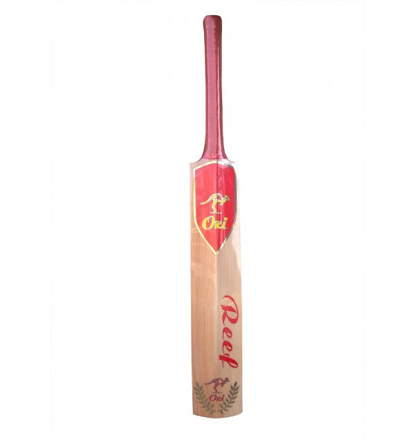 Cricket Bat - Ozi Sports Reef